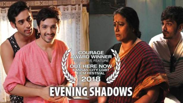 Evening Shadows - Celebration of Courage Award