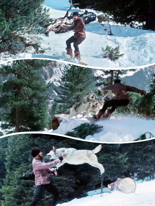 Salman Khan in Tiger Zinda Hai Wolf Fight