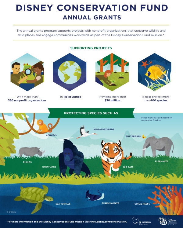 Disney Conservation Funds