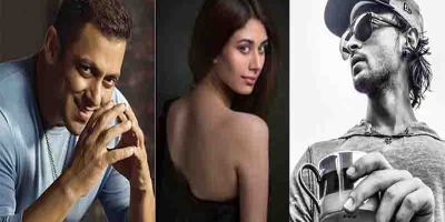 Salman Khan, Warina, Aayush Sharma