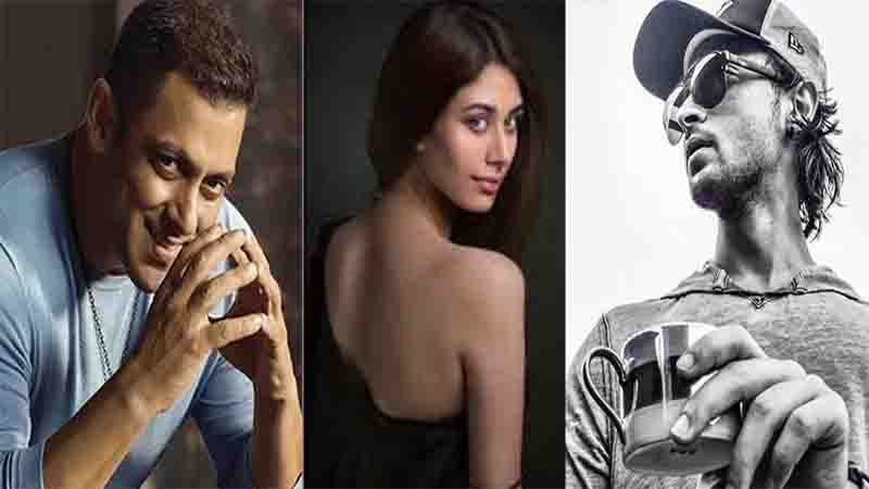 Salman Khan, Warina, Aayush Sharma