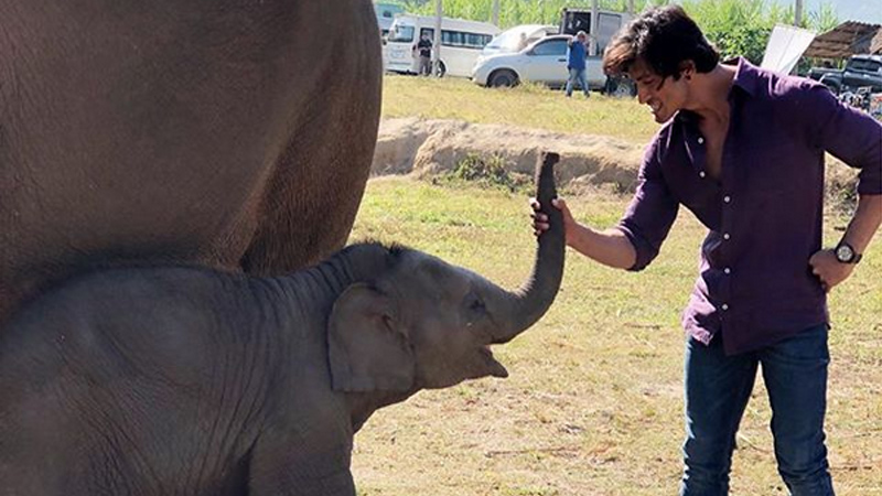 Vidyut Jammwal with Elephants