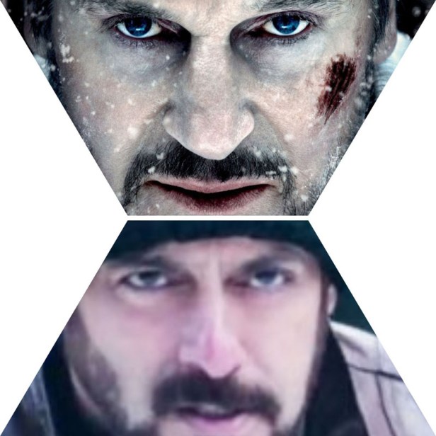 Liam Neeson in The Grey; Salman Khan in Tiger Zinda Hai