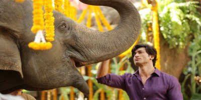 Vidyut Jammwal with elephant in Junglee movie