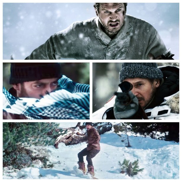 Liam Neeson in The Grey; Salman Khan in Tiger Zinda Hai