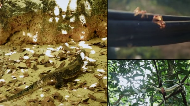 Thugs of Hindostan in Thailand