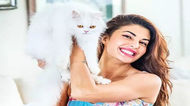 Jacqeline Fernandez with her pet cat Miu Miu