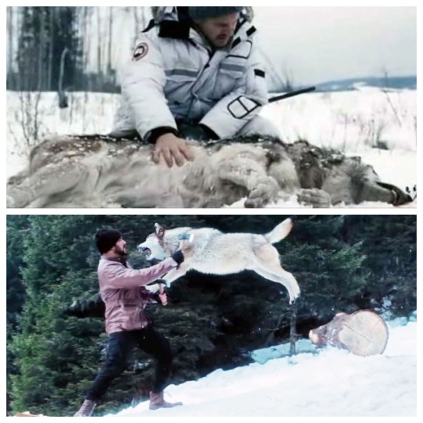 Liam Neeson in The Grey; Salman Khan in Tiger Zinda Hai