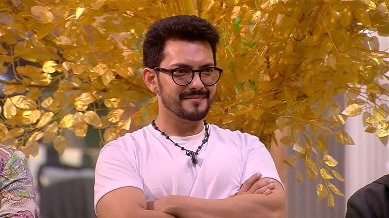 Aditya Narayan